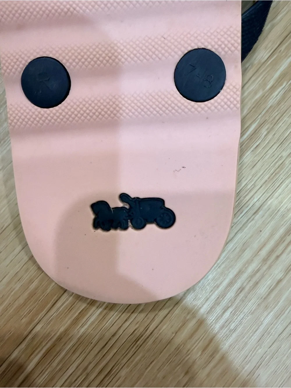 Coach Flip Flops with Watermelon Print